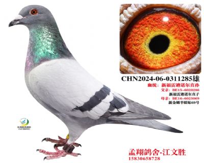 �¸��׵��Z���O��