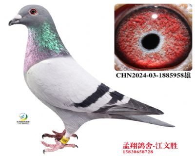 ���Ҽ���