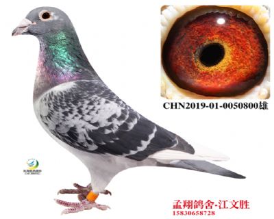 ����ȫ��017