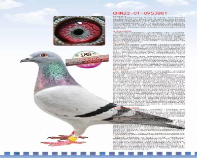 �Z����Ѫ881̖(h��o)