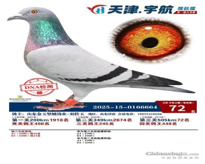 ��������