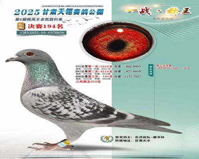 25���������194��