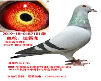 ����9����