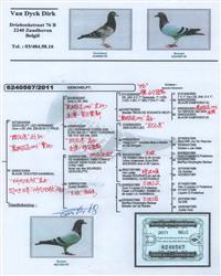 ����Ѫͳ��