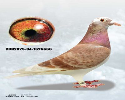 mmexport1762384739999