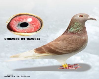 mmexport1762384736803