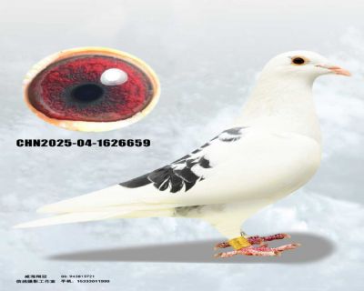 mmexport1762384717411