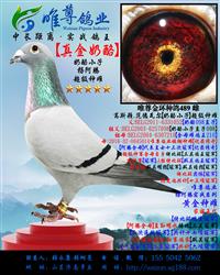 ĸ�ס�������ҡ�