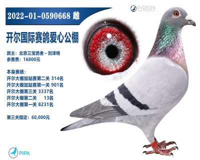 �����������ָ�