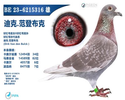 �����������ָ�