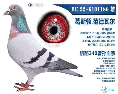 ���������ָ�