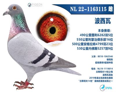 ���������ָ�