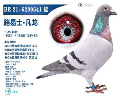 ���������ָ�