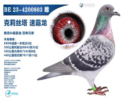 ���������ָ�