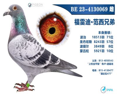 ���������ָ�