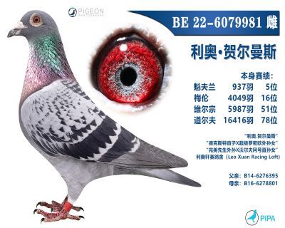 ���������ָ�