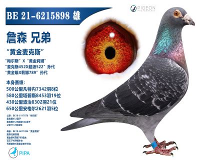 ���������ָ�