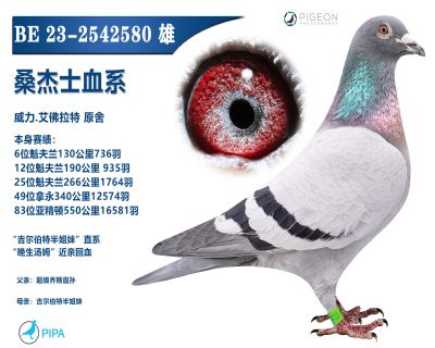 ���������ָ�