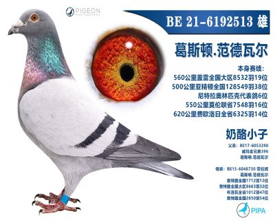 ���������ָ�