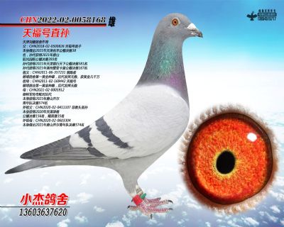 �츣̖(h��o)ֱ�O