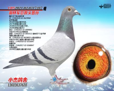 ������������