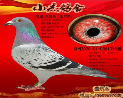 �D��˹175�OŮ