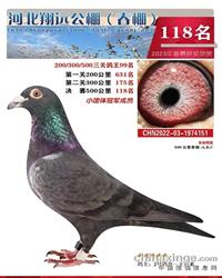 ������292��ֱ��