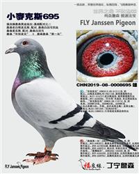 ��ĸ����