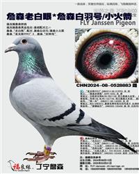 ��ĸ����