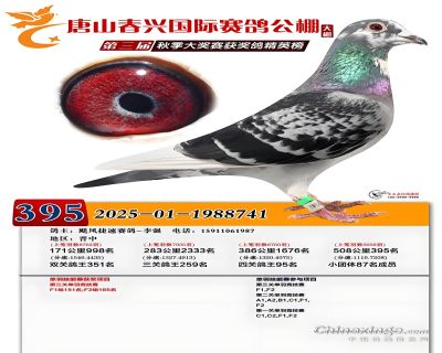 ��ɽ���˴���395��