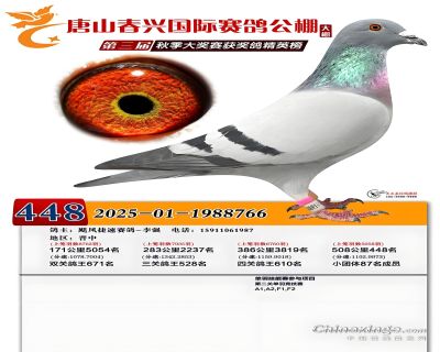 ��ɽ���˴���448��