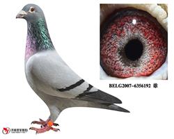 ���游������������¬