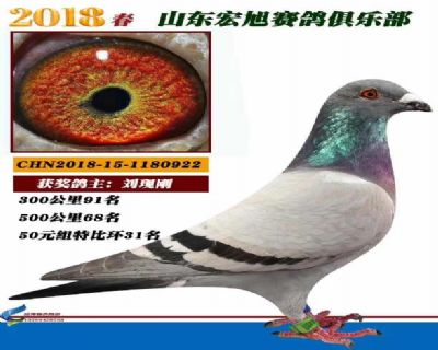 ����㘷���رȭh(hu��n)31��