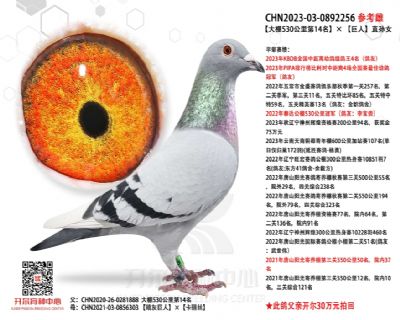 �_�����I(y��)����