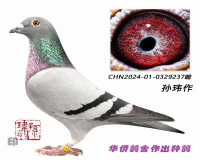 ����������ϵ������ʱ����ϵ237��