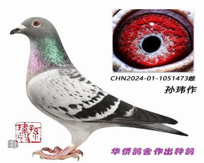 ֱϵ�ɼ����Ĵ��������17����473