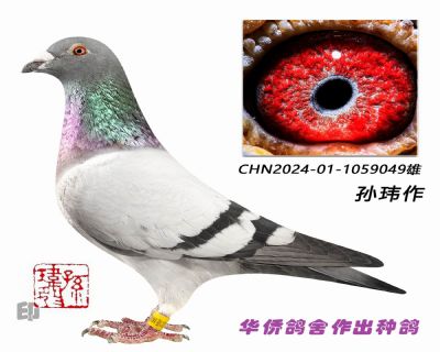 ����������ɫ����-1059049��