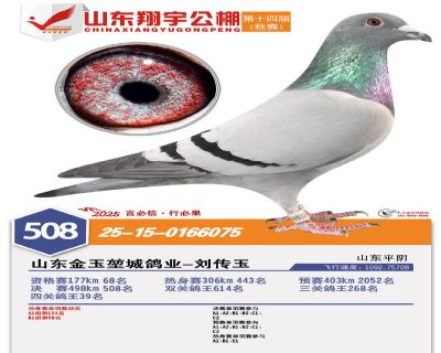 ɽ�������