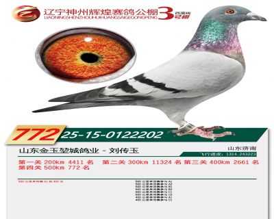 ���ݻԻ͹���