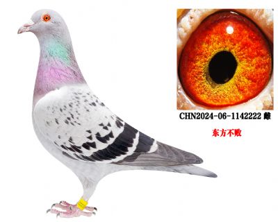 û����ã�ֻ�и���