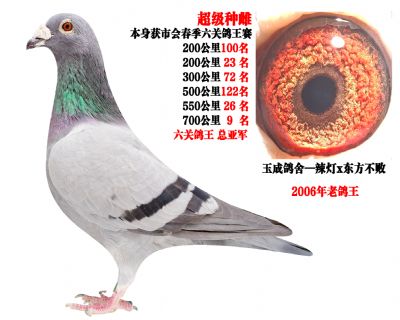 2006�����ظ������Ǿ�