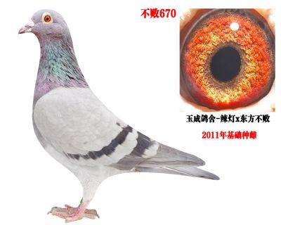 ����670�������ִ�