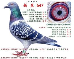 ȫ��  �p�P(gu��n)�C�Ϲ�܊