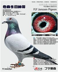 ��ĸ����