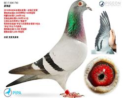 �� �� �º���