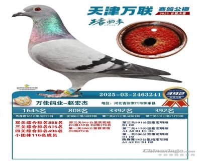 ΢�ňDƬ_20251222102739