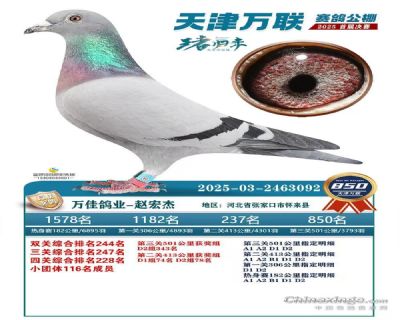 ΢�ňDƬ_20251222102716