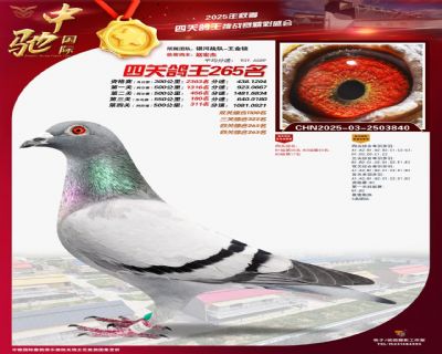 ΢�ňDƬ_20251222102755