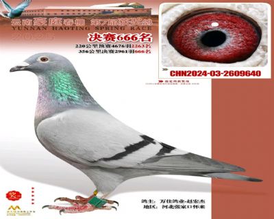 ΢�ňDƬ_20251222102806