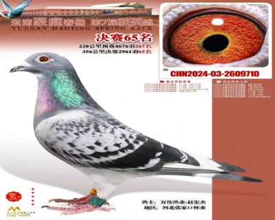 ΢�ňDƬ_20251222102809